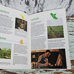 Vintage Italian Wine Guide with Foldout 1982 Italian Wine Center Product Booklet