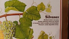 Vintage Mainz West Germany Wine Stabilization Fund Grape Varieties Poster 33×23½