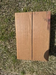 Ernest & Julio Gallo California Wood Wine Box wood carved slider 12×9
