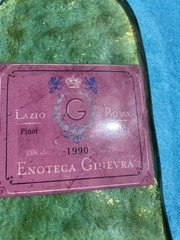 2 Flat Acrylic Wine Bottles Wall Decor Vtg 2003 Leandra Ginevra 12” Tall