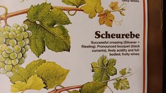 Vintage Mainz West Germany Wine Stabilization Fund Grape Varieties Poster 33×23½