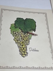 2 Rare 1969 Prints Grapes Wine Walter S. Taylor Finger Lakes Wine Museum NY