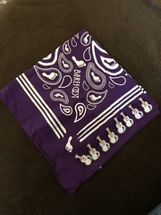 Barefoot Wine Branded Bandana and 8 Guitar Pins Set