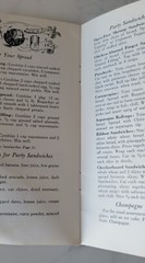 Vintage 1958 Taylor Wine Champagne Makes a Party Recipe Pamphlet booklet