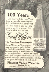 1909 Pleasant Valley Wine Advertisement NY American Champagne Antique Print AD