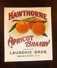 Unused Hawthorne APRICOT BRANDY LABEL, Laundrie Bros, Rouses Point, NY