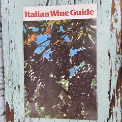 Vintage Italian Wine Guide with Foldout 1982 Italian Wine Center Product Booklet