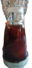 1955 GLASS MATADOR BOTTLE BULLFIGHTER DECANTER DALMAU HERMANOS TARRAGONA SPAIN