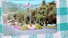 POST CARD ITALIAN SWISS COLONY WINE ROOM SAN FRANCISCO CALIFORNIA