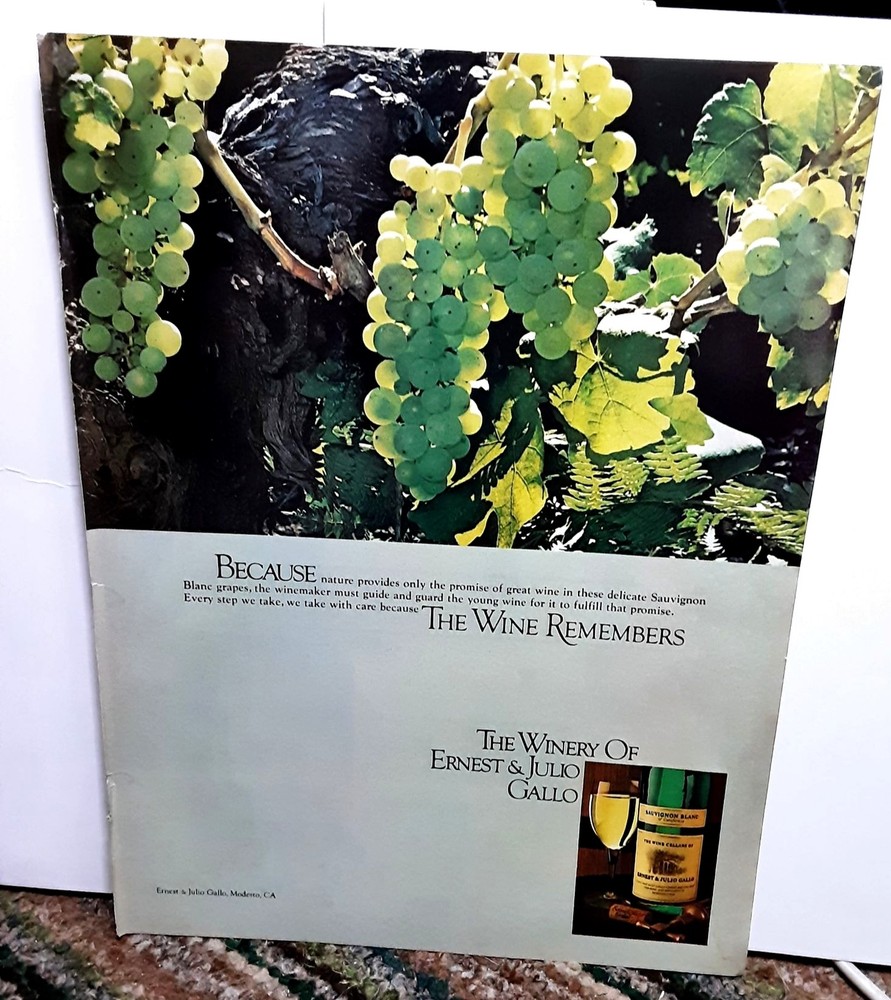 1979 Ernest Julio Gallo Wine Grapes Original Print Ad