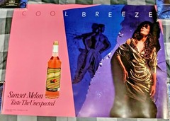 COOL BREEZE WINE / 1980&rsquo;S SEXY SUNSET MELON TASTE THE UNEXPECTED POSTER MAN CAVE