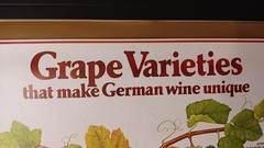 Vintage Mainz West Germany Wine Stabilization Fund Grape Varieties Poster 33×23½