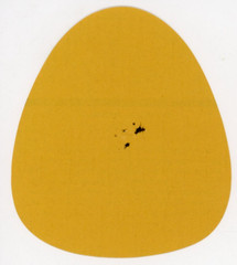 1960s-70s Paw Paw, MI Wine Cask Mountain Rose Wine Warner Vineyards, Inc #2G2