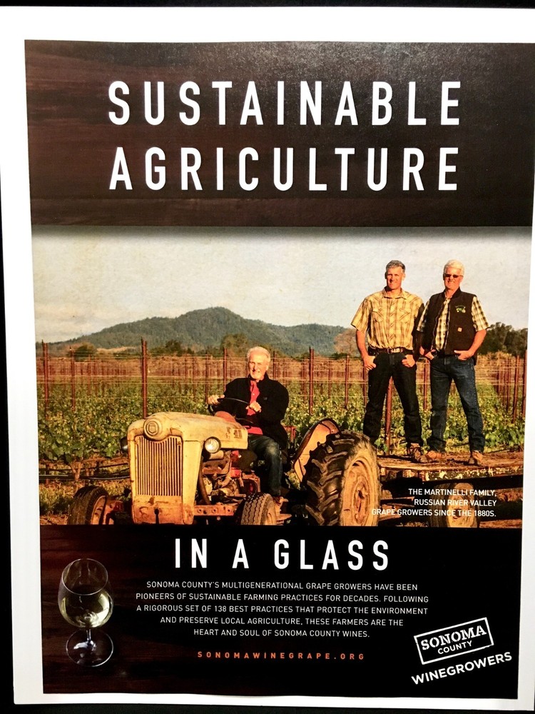 2016 Sonoma County Wine Martinelli Family Winegrowers PRINT AD Advertisement