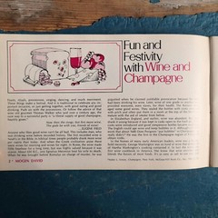 Vintage Mogen David Wines Food, Fun and Festivity Wine Recipe Book