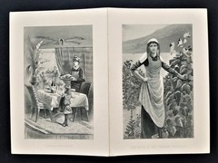 1886 antique PLEASANT VALLEY WINE CO rheims steuben co ny AD CARD price list