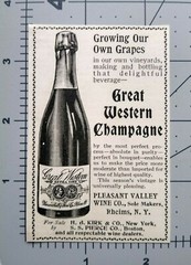 Rheims New York Vintage Print Ad Pleasant Valley Wine Champagne Bottle Art 1900