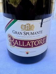 Vintage 1986 Ballatore Gran Spumante – California Sparkling Wine | 8% ABV