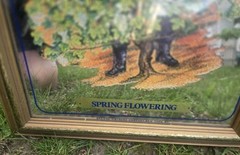 B & G BARTON & GUESTIER WOOD FRAMED BAR MIRROR FRENCH WINES « SPRING FLOWERING »
