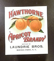 Unused Hawthorne APRICOT BRANDY LABEL, Laundrie Bros, Rouses Point, NY