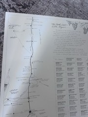North Coast Wine Country Poster Earl Thollander Nut Tree 1975 Double Sided – VTG