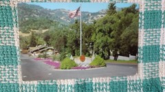 POST CARD ITALIAN SWISS COLONY WINE ROOM SAN FRANCISCO CALIFORNIA