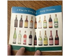 Hammondsport NY Taylor Wine 1966 Hospitality Booklet Sparkling Guide & Recipes