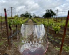 WILLIAMS SELYEM Estate Vineyard Schott Zwiesel Crystal Pinot Wine Glass PRISTINE