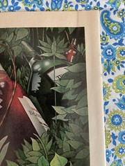Vintage 1976 Taylor Wine Print Ad “The Way Out Of The Wine Jungle” Ad Only