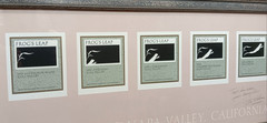 Frog&rsquo;s Leap Wine Napa Valley Framed Label Art Signed by Winemaker John Williams