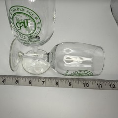 Vtg Golden Age Festival Travel 1988 10th anniversary commemorative wine glasses