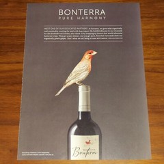 BONTERRA ORGANIC VINEYARD WINE PRINT AD MAGAZINE ADVERTISEMENT PURE HARMONY