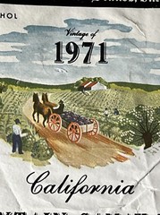 CALIFORNIA 1970s Estate Find WINE Sebastiani MARTINI Masson 5 LABELS