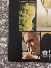 1974 Ernest & Julio Gallo Rhine Wine VTG 1970s 70s PRINT AD Premium Dry Wine