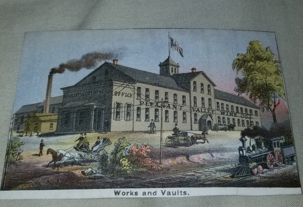 Vintage 1800s Trade Card / Flyer Pleasant Valley Wine Co NY
