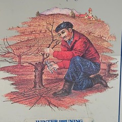 Vintage Barton & Guestier Wine Bar Mirror – “Winter Pruning” Framed French Ad