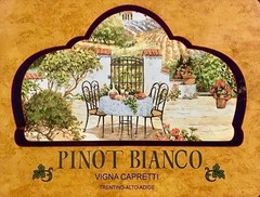 Framed Lithograph Print “Pinot Bianco Vigna Capretti Trentino-Alto…” 19.5×22.5