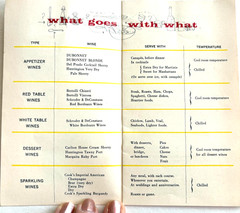 Fantastic Little Vintage Booklet « Dubonnet » Guide to Hosting & Toasting *