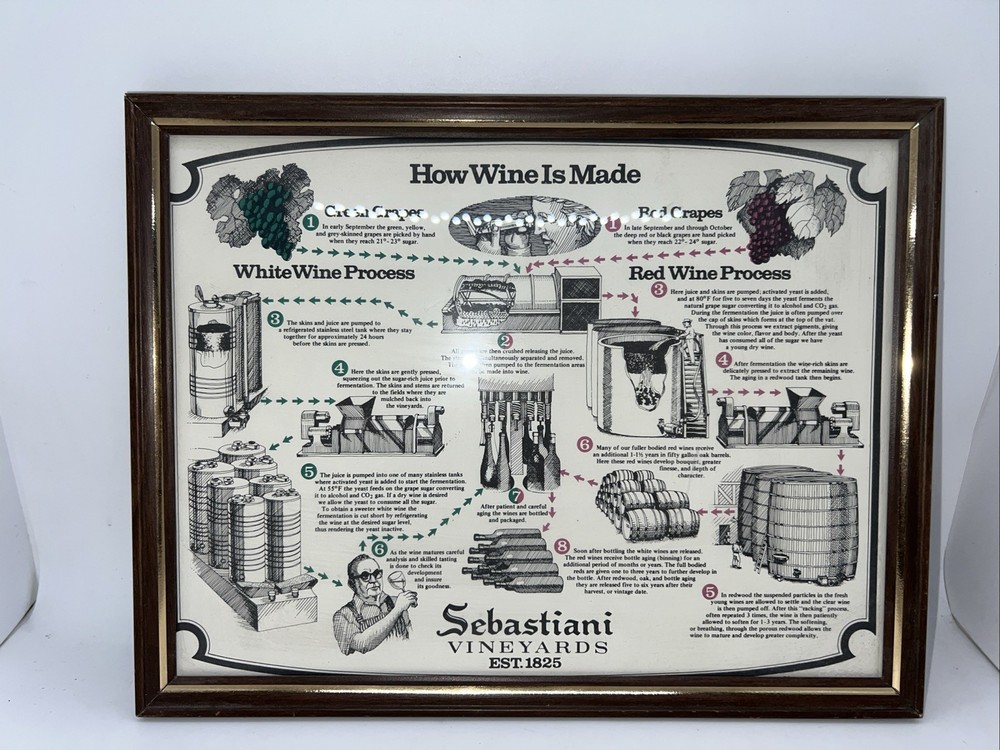 Vintage Sonoma Valley Wines Sebastiani Vineyards How Wine Made Framed Sign 8×10