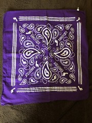 Barefoot Wine Branded Bandana and 8 Guitar Pins Set