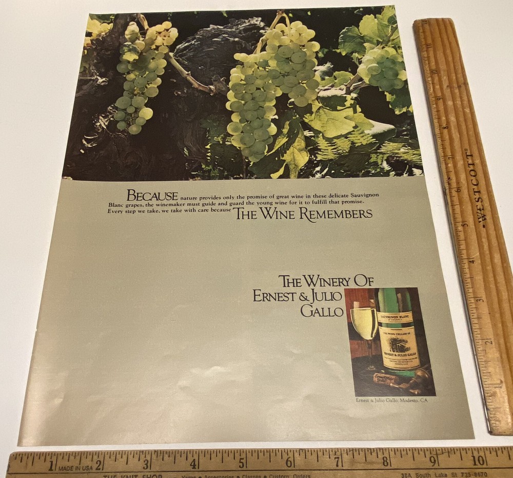 Vtg Print Ad Ernest and Julio Gallo Wine Green Grapes 1970s Ephemera 13&Prime; x 9.75&Prime;