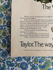 Vintage 1976 Taylor Wine Print Ad “The Way Out Of The Wine Jungle” Ad Only