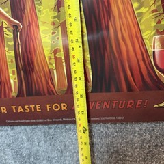 18 x 24 Redwood Creek WINE POSTER Art Advertising Giant Redwoods Hiker Majestic