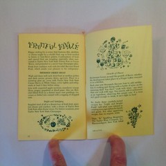 Vintage 1966 Taylor Wine Company Recipe Booklet Light and Bright Foods Cooking