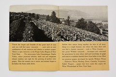 Wine Wonderland Brochure Widmer&rsquo;s Wine Cellars Naples NY Vintage 1950 s – 60 s