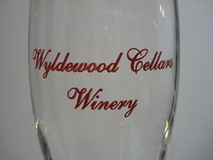 Wyldewood Cellar Winery Elderberry Wine 2000 Y2K Stemmed Fluted Wine Glasses KS