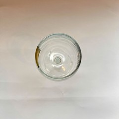 Morgan Hill Mushroom Festival Souvenir Wine Glass 2025