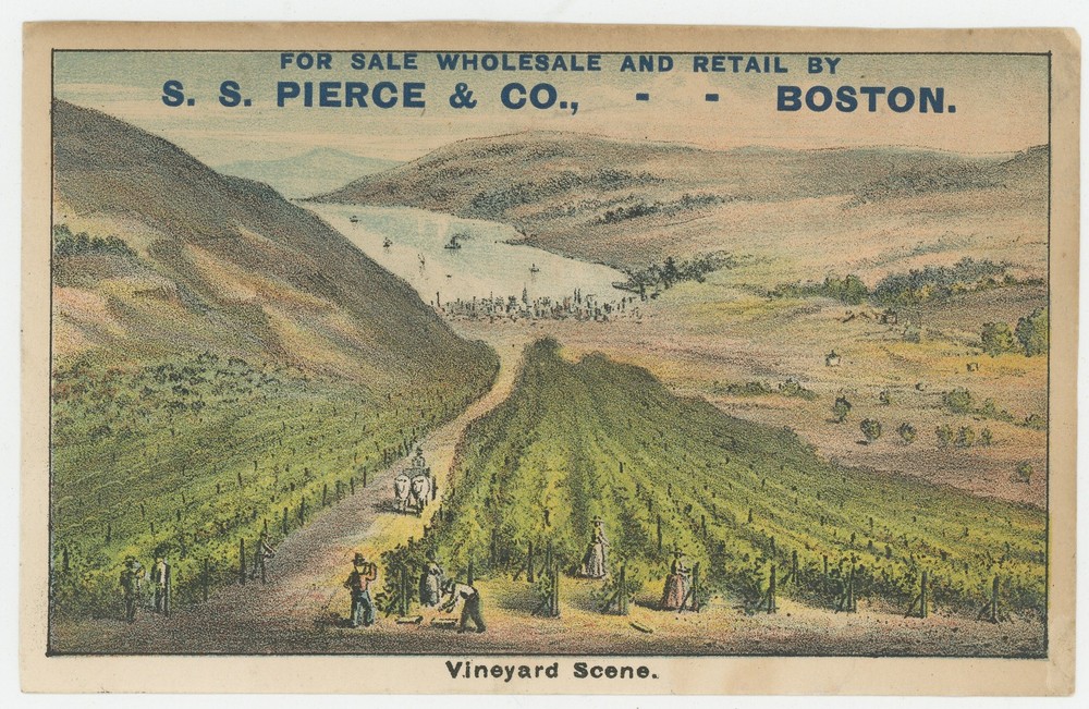 Vineyard Pleasant Valley Wine Co Hammondsport NY Finger Lakes 1880&rsquo;s Trade Card