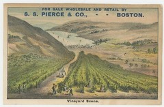Vineyard Pleasant Valley Wine Co Hammondsport NY Finger Lakes 1880&rsquo;s Trade Card