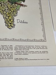2 Rare 1969 Prints Grapes Wine Walter S. Taylor Finger Lakes Wine Museum NY